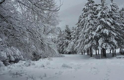 RELAX Vallechiara Pescasseroli - Foto 20