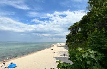 Zalotna Mewa Gąski - Photo 41