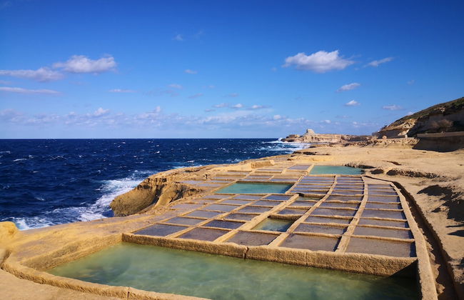 Casa Laeta - Foto 36