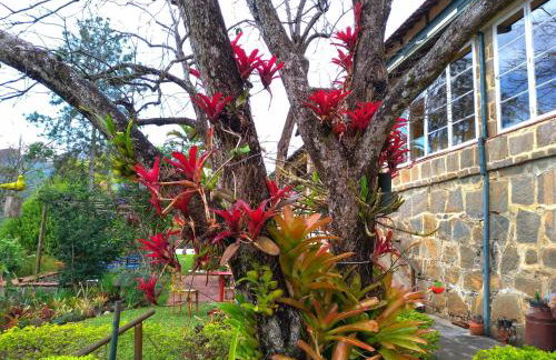 Residencial Flor- Hilda - Foto 30