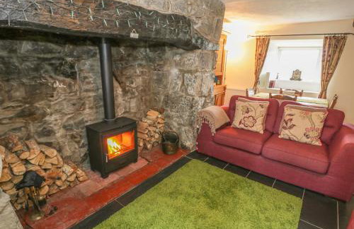 Plas Arenig - Foto 4