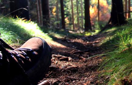 Ferienhaus Henneseeblick - Lake - View - Terrace - Hils - Wood - WIFI - Foto 19