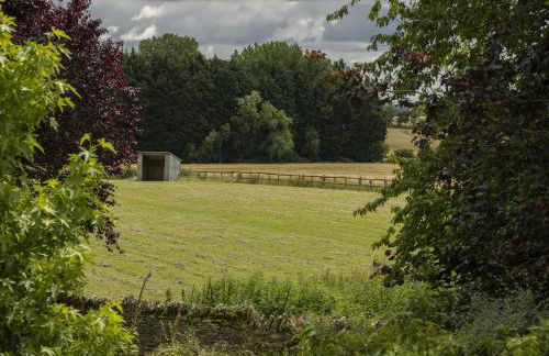 Cats Abbey Cottage - Photo 30