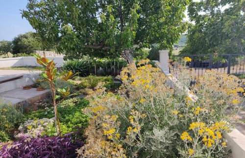 Villa Belvedere - Photo 45