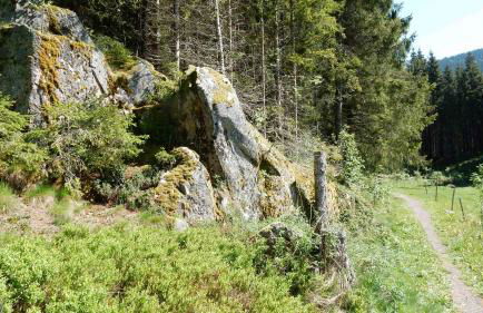 WEITBLICK "entspannen - wohlfühlen - aktiv erholen" - Foto 46