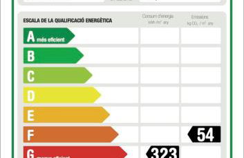 Golden Reddis - Photo 44