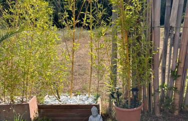 Petit Paradis - Foto 20