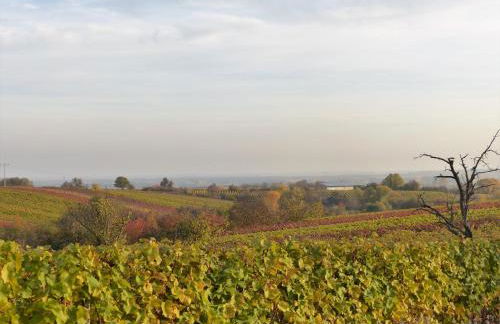 Apartment An der Weinstraße - Foto 33