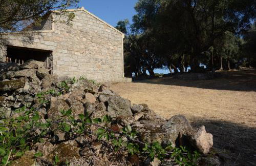 Stazzu Spadulagliu near Olbia - Photo 22