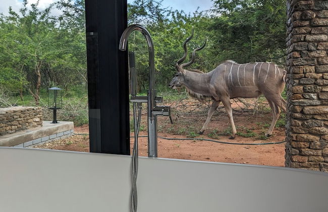 Ungava Retreat - Foto 8