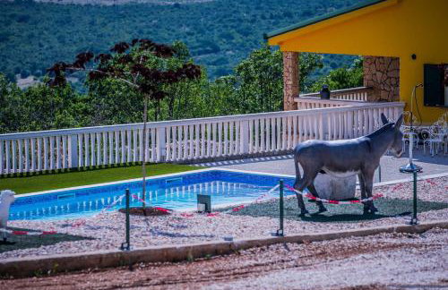 Luxury villa Cvita - Foto 23