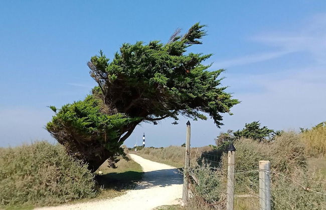 Les Hameaux des Sables Vignie, Saint-georges-d'oleron, Holiday Home not Detached - Foto 27