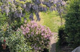 Zimmer mit Gartenblick - Foto 14
