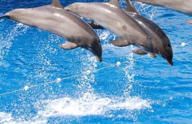 Apartamento a pie de playa - Foto 16