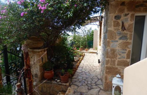 STONE of KAMARIZA - Foto 36