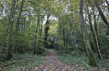 Gemütliche Ferienwohnung im Westerwald - "Ferienwohnung Braun" - Foto 10