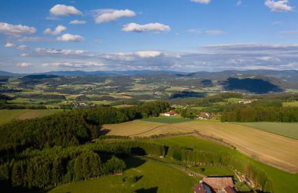 Ferienwohnung „Rose“ - Foto 8