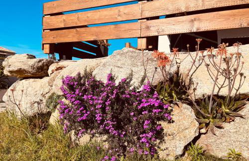 Résidence Casa Toga - Foto 70