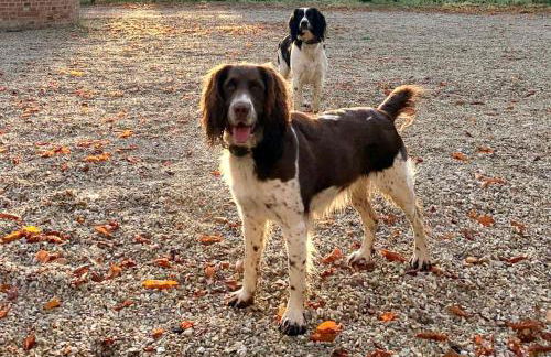 La maison du Verger - Foto 27