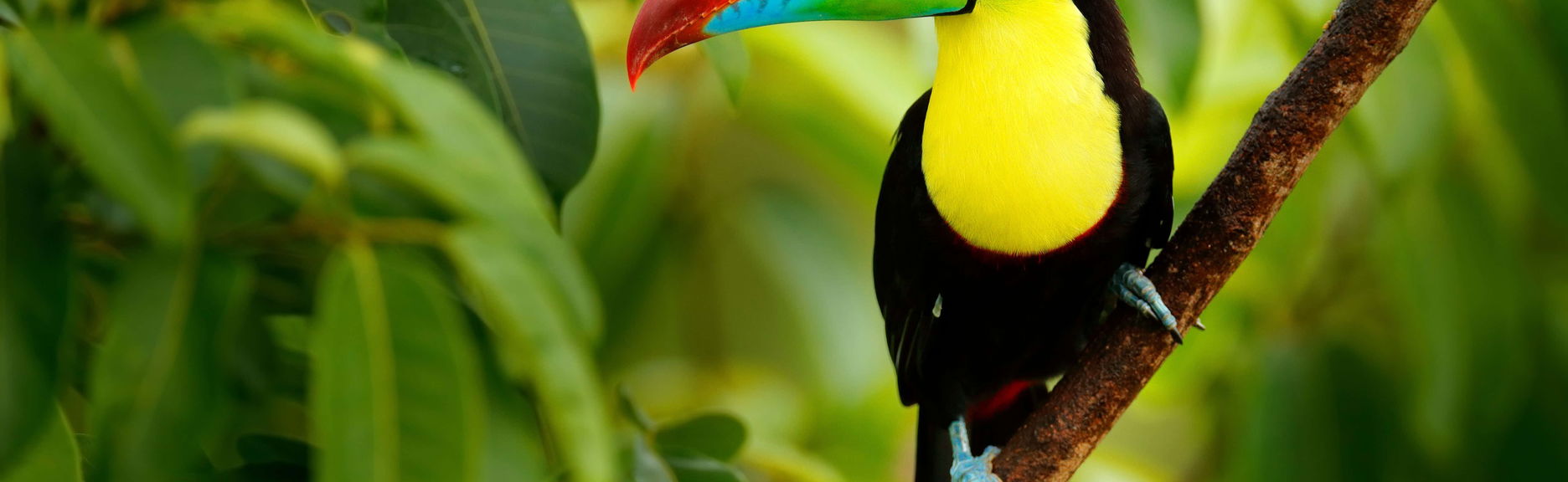 Excursion au Bioparque Temaikèn