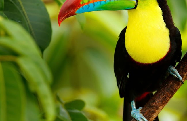 Escursione al Bioparco Temaikèn - Foto 1