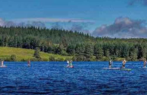 Les Maisons du Bonheur & Balnéo - Photo 46