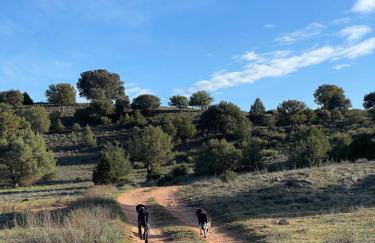 Casa Rural Pernales I - Foto 23