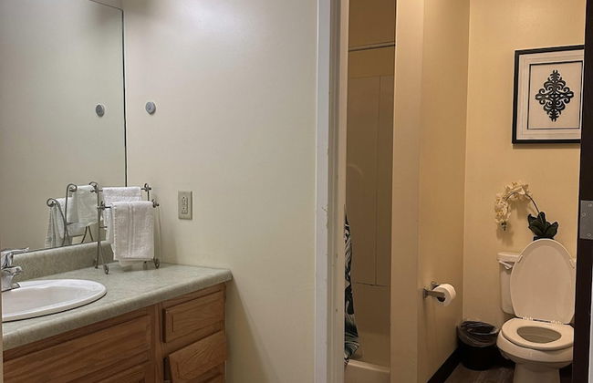 2 Bedroom 2 Bath Apartment Heart of Downtown PIT - Foto 9