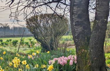 La Closerie de la Trottinière - Foto 24