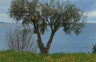 Apartment Trieste M&M - Foto 37