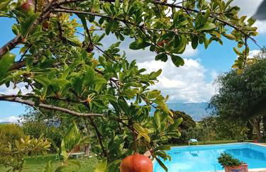 Casa Pratolungo - Foto 8