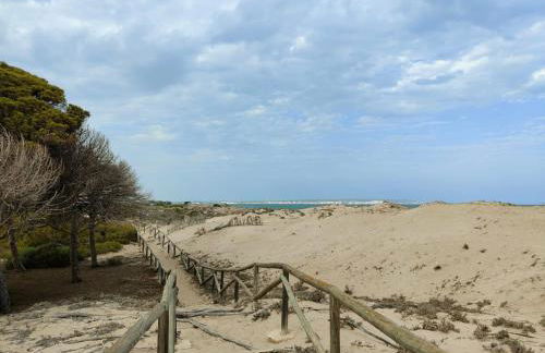 House with solarium - Foto 41