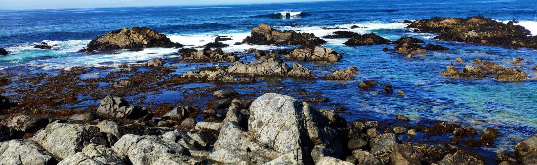 Excursión a Isla Negra, Pomaire y Viña Undurraga