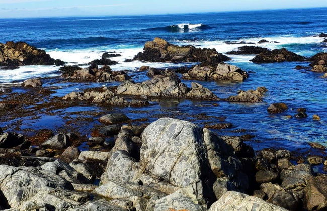 Excursión a Isla Negra, Pomaire y Viña Undurraga - Foto 1