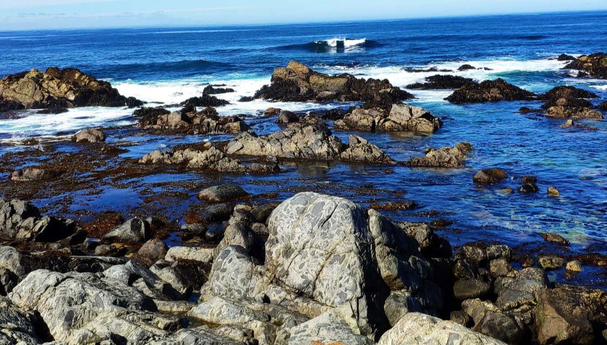 Excursion à Isla Negra, Pomaire et Viña Undurraga