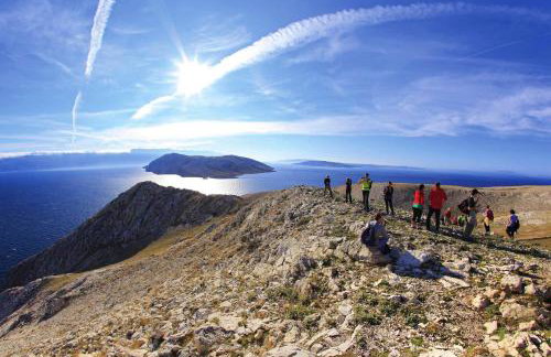 Oak Meadow Apartment - Photo 40