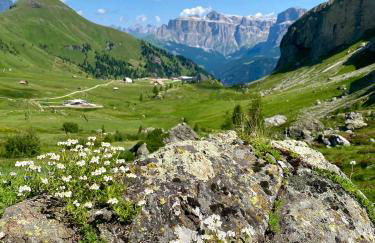 Cesa Bernard - Apartment Cima 12 e new Apartment Fraine - Foto 31