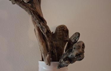 Spiaggia Serena - con giardino e box a 10 mt dal mare - Foto 26