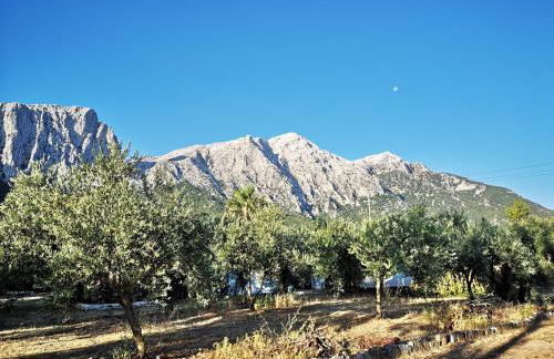 Pinnettu sardo tipica abitazione sarda in ecosistema insetti e animaletti simpatici in condivisione bagno esterno a 10metri Leggere attentamente Prima di prenotare - Foto 34