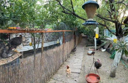 Royal's Studios - Photo 38