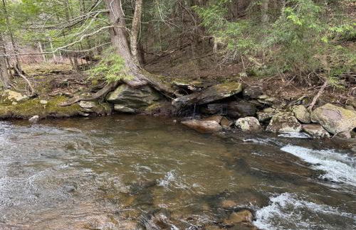 Casa Del Rio - Foto 35