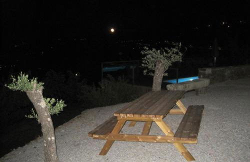 Quinta do Pombal Douro - Foto 53