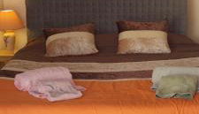 Casa do Carvoeiro - Foto 5