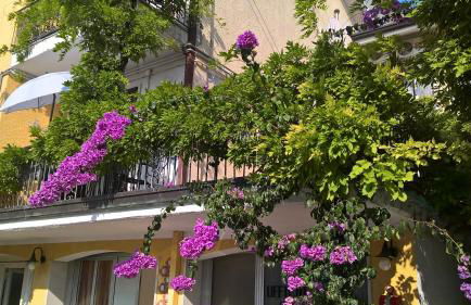 Al Glicine Apartments - Foto 31