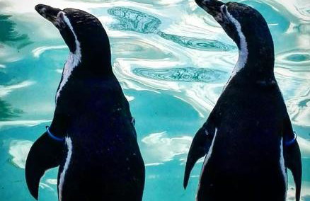 Cozy Cotswold getaway near Burford - Foto 36