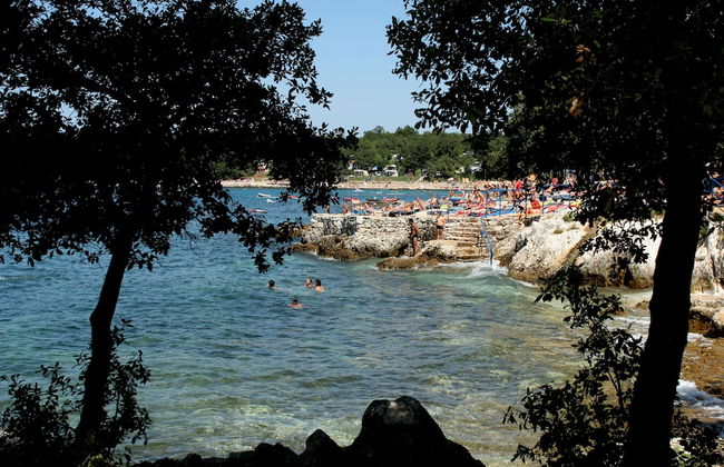 House Coki - Foto 56