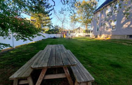 Sunny & Spacious 2BD 1BA WFH Apt-Huge Yard & Patio - Foto 47