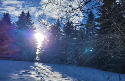 Ferienwohnung Rhön-Kutscher - Foto 30