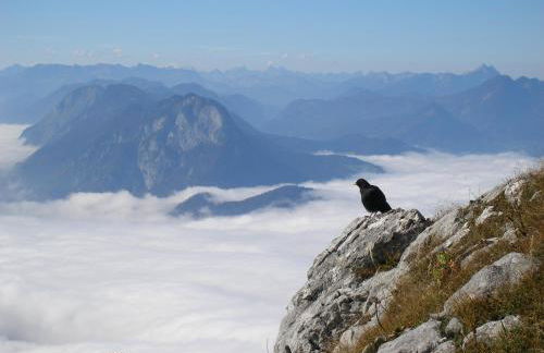 Gschwingerhof - Foto 14