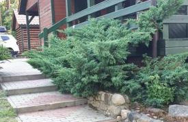 Domek letniskowy Pod brzozami Pszczew - Foto 2